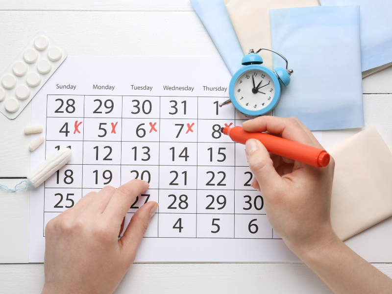 Điều ít Ai Biết: Chu Kỳ Kinh Nguyệt Tiết Lộ điều Gì Về Sức Khỏe Trứng?