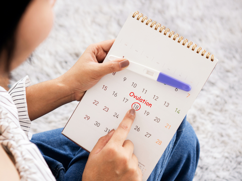 Điều ít Ai Biết: Chu Kỳ Kinh Nguyệt Tiết Lộ điều Gì Về Sức Khỏe Trứng?